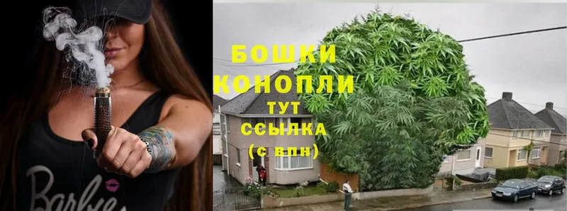 Шишки марихуана THC 21%  купить   Чехов 